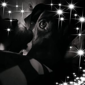 Meet your Posher, Jesse